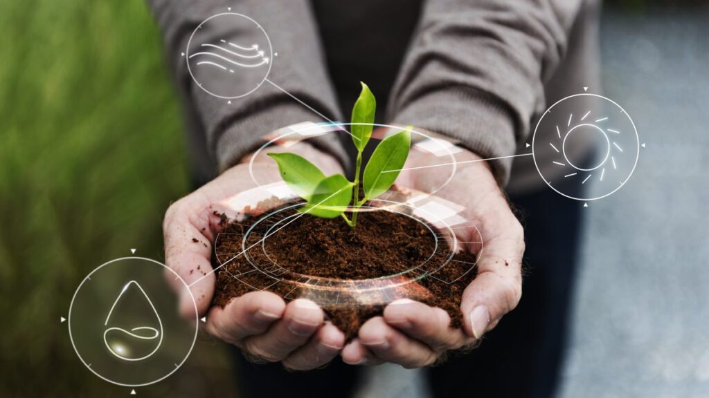 Building Greener Local Communities: Practical Steps for Sustainable Government