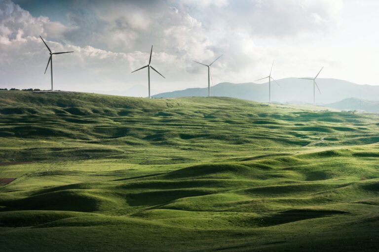 The Increasing Focus Of Organizations On Sustainability