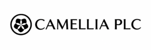 How Camellia Improved Board Meetings with Dess Digital